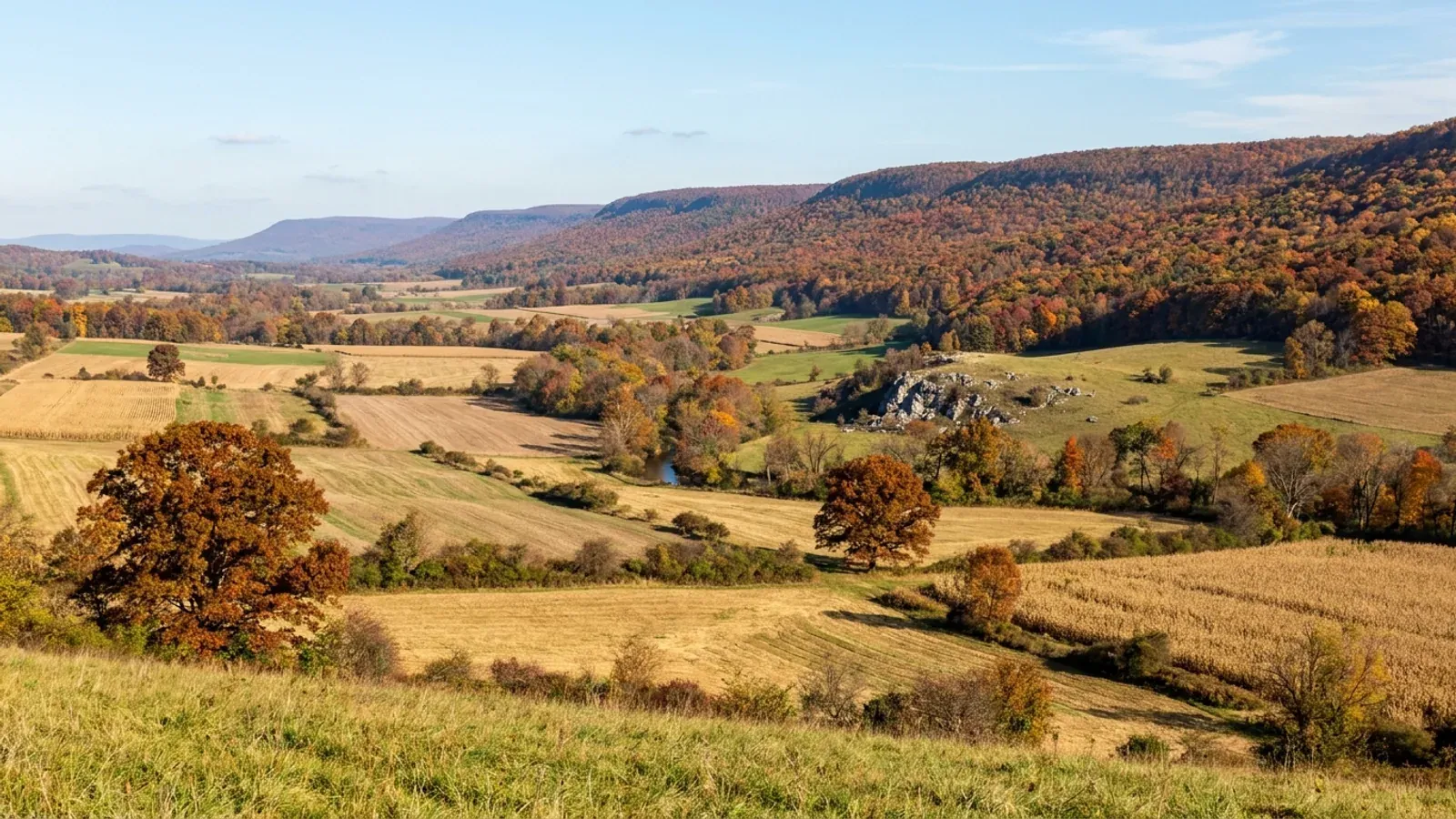 A narrow limestone valley of farm fields between long, parallel, even-crested forested ridges in autumn colour.